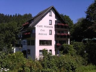 Pension Willingen Cafe-Pension Waldesruh tableau 1